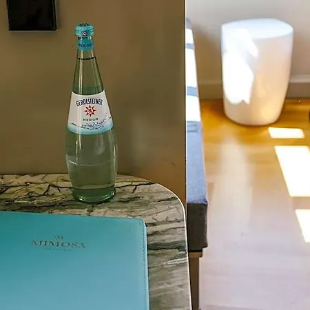 Hotel Mimosa