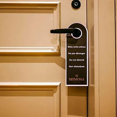 Hotel Mimosa 3*